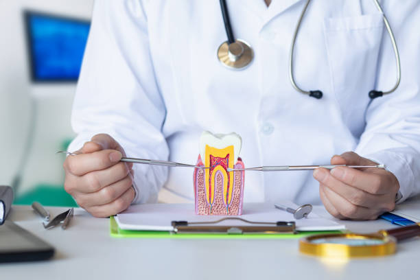 Best Emergency Dental Care for Abscessed Tooth in Ferron, UT